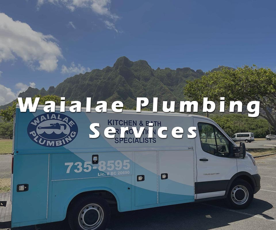 image of Waialae Plumbing truck