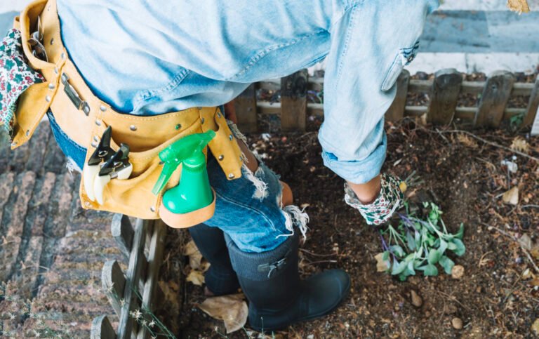 Tree Root Damage in Sewer Lines: A Hidden Problem in Honolulu