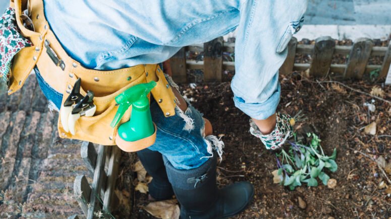 Tree Root Damage in Sewer Lines: A Hidden Problem in Honolulu